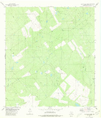 Download a high-resolution, GPS-compatible USGS topo map for Las Ovejas Creek, TX (1980 edition)