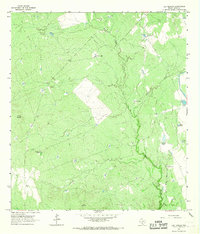 Download a high-resolution, GPS-compatible USGS topo map for Las Tiendas, TX (1967 edition)