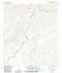 Download a high-resolution, GPS-compatible USGS topo map for Las Vegas De Los Ladrones, TX (1991 edition)