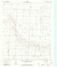 Download a high-resolution, GPS-compatible USGS topo map for Lazbuddie, TX (1981 edition)