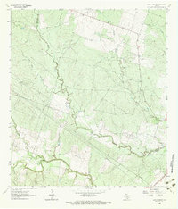 Download a high-resolution, GPS-compatible USGS topo map for Lazy F Ranch, TX (1965 edition)