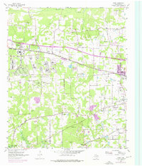 Download a high-resolution, GPS-compatible USGS topo map for Leary, TX (1976 edition)