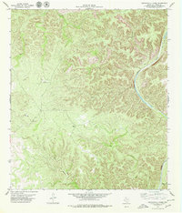 Download a high-resolution, GPS-compatible USGS topo map for Lechuguilla Creek, TX (1979 edition)