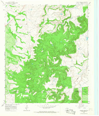 Download a high-resolution, GPS-compatible USGS topo map for Leeper Creek, TX (1968 edition)