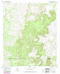 Download a high-resolution, GPS-compatible USGS topo map for Leeper Creek, TX (1987 edition)