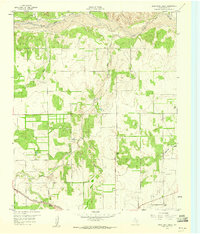Download a high-resolution, GPS-compatible USGS topo map for Lelia Lake Creek, TX (1960 edition)