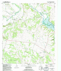 Download a high-resolution, GPS-compatible USGS topo map for Leon Junction, TX (1995 edition)