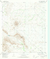 Download a high-resolution, GPS-compatible USGS topo map for Leoncita Ranch, TX (1981 edition)
