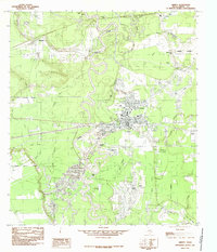 preview thumbnail of historical topo map of Liberty, TX in 1984