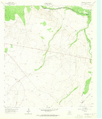 Download a high-resolution, GPS-compatible USGS topo map for Ligon Ranch, TX (1965 edition)