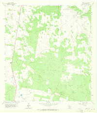 Download a high-resolution, GPS-compatible USGS topo map for Linn NE, TX (1965 edition)
