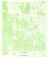preview thumbnail of historical topo map of Hidalgo County, TX in 1963