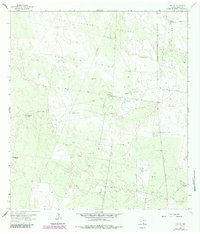 Download a high-resolution, GPS-compatible USGS topo map for Linn NW, TX (1984 edition)