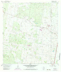 preview thumbnail of historical topo map of Hidalgo County, TX in 1963