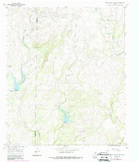 Download a high-resolution, GPS-compatible USGS topo map for Little Grape Creek, TX (1988 edition)