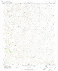 preview thumbnail of historical topo map of Potter County, TX in 1971