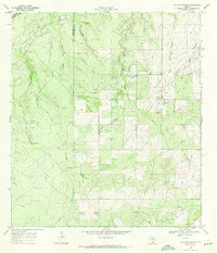 Download a high-resolution, GPS-compatible USGS topo map for Live Oak Hollow, TX (1971 edition)