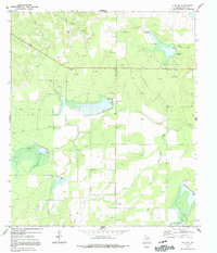 Download a high-resolution, GPS-compatible USGS topo map for Live Oak, TX (1991 edition)