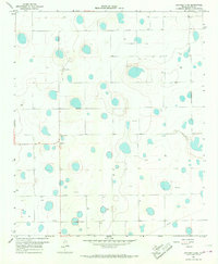 Download a high-resolution, GPS-compatible USGS topo map for Lockney 4 SW, TX (1968 edition)