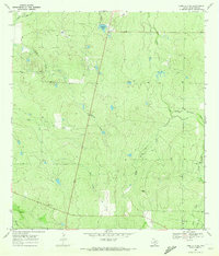 Download a high-resolution, GPS-compatible USGS topo map for Loma Alta NE, TX (1972 edition)