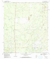 Download a high-resolution, GPS-compatible USGS topo map for Loma Alta, TX (1991 edition)