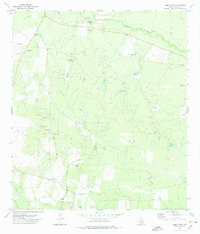Download a high-resolution, GPS-compatible USGS topo map for Loma Vista, TX (1975 edition)