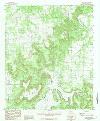 Download a high-resolution, GPS-compatible USGS topo map for Lone Camp, TX (1984 edition)