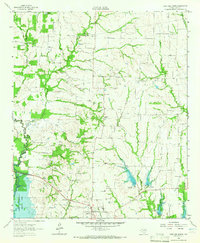 Download a high-resolution, GPS-compatible USGS topo map for Lone Oak North, TX (1965 edition)