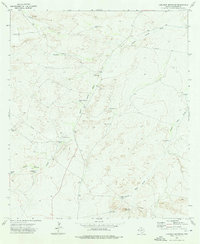 Download a high-resolution, GPS-compatible USGS topo map for Loneman Mountain, TX (1976 edition)