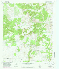 Download a high-resolution, GPS-compatible USGS topo map for Long Hollow, TX (1982 edition)