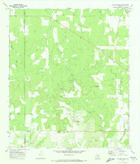 Download a high-resolution, GPS-compatible USGS topo map for Long Mountain, TX (1973 edition)