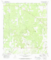 Download a high-resolution, GPS-compatible USGS topo map for Long Mountain, TX (1987 edition)