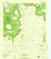 Download a high-resolution, GPS-compatible USGS topo map for Lovers Resort, TX (1959 edition)