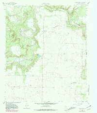 Download a high-resolution, GPS-compatible USGS topo map for Lovers Resort, TX (1981 edition)
