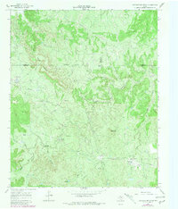 Download a high-resolution, GPS-compatible USGS topo map for Lowrance Mountain, TX (1981 edition)