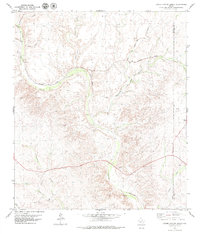 preview thumbnail of historical topo map of Terrell County, TX in 1979