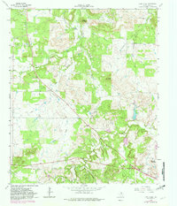 Download a high-resolution, GPS-compatible USGS topo map for Lynn Creek, TX (1982 edition)