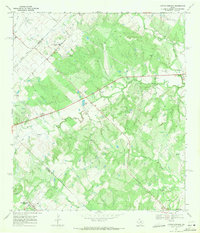 Download a high-resolution, GPS-compatible USGS topo map for Lytton Springs, TX (1971 edition)