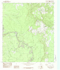 Download a high-resolution, GPS-compatible USGS topo map for Magnolia Springs, TX (1985 edition)