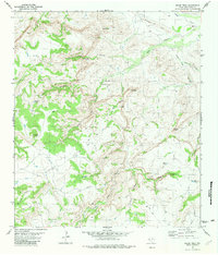 Download a high-resolution, GPS-compatible USGS topo map for Major Peak, TX (1981 edition)