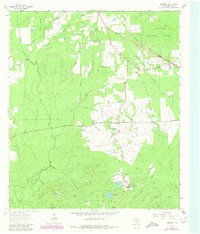 Download a high-resolution, GPS-compatible USGS topo map for Manning, TX (1980 edition)