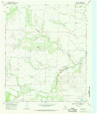 Download a high-resolution, GPS-compatible USGS topo map for Mattson, TX (1970 edition)