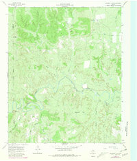 Download a high-resolution, GPS-compatible USGS topo map for Maverick Flat, TX (1981 edition)