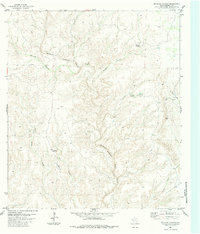 preview thumbnail of historical topo map of Terrell County, TX in 1983