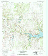 Download a high-resolution, GPS-compatible USGS topo map for McEwen Draw, TX (1987 edition)