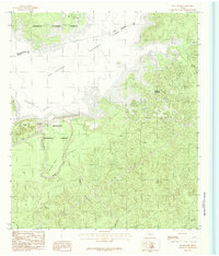 Download a high-resolution, GPS-compatible USGS topo map for McGee Bend, TX (1984 edition)