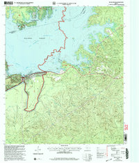 Download a high-resolution, GPS-compatible USGS topo map for McGee Bend, TX (2004 edition)