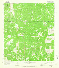 Download a high-resolution, GPS-compatible USGS topo map for McKegan Draw NE, TX (1966 edition)