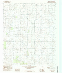 Download a high-resolution, GPS-compatible USGS topo map for Meadow SE, TX (1985 edition)
