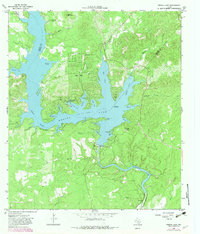 1964 Map of Medina Lake, 1982 Print